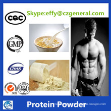 CAS 9048-46-8 Nahrungsergänzung Whey Protein Powder